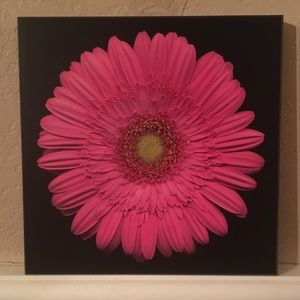 Wall Plaque PINK Daisy, Wood